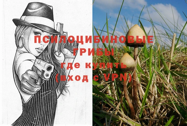гидропоника Арсеньев