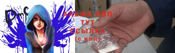 твердый Аркадак