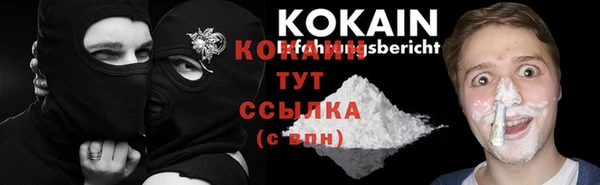 твердый Аркадак